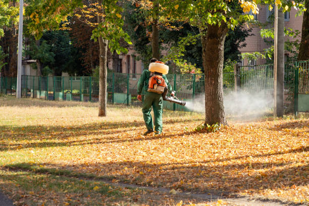 Best Pest Control Near Me in Petal, MS
