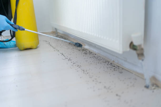Best Commercial Pest Control Services  in Petal, MS